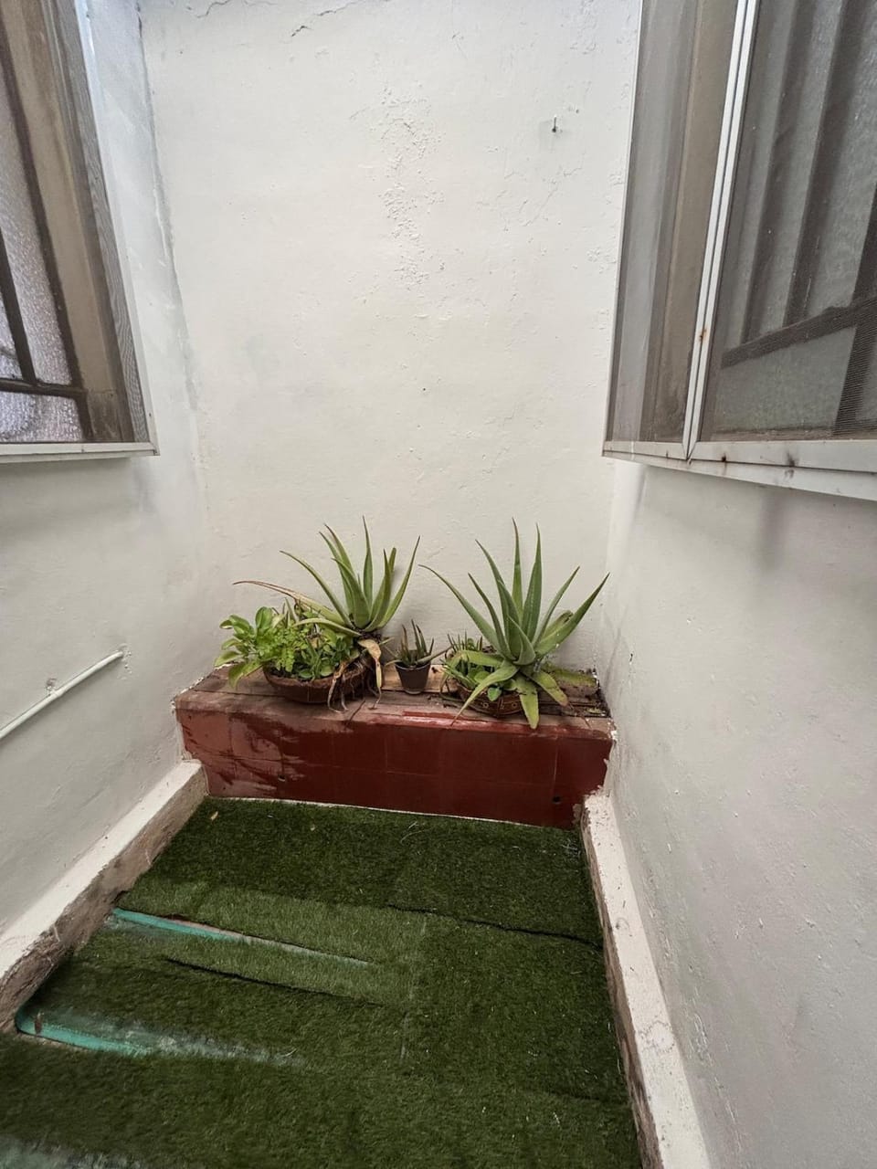 La Casa Flores near Paseo Montejo Apartment in Merida