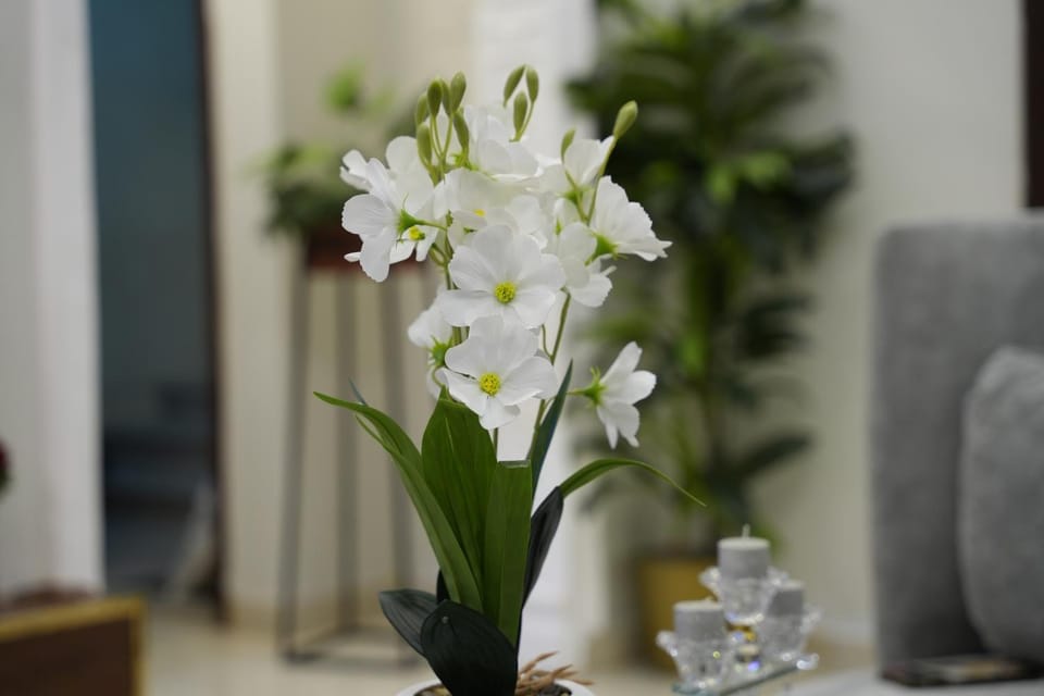 شقق راقيه للإيجار اليومي Apartment in Medina