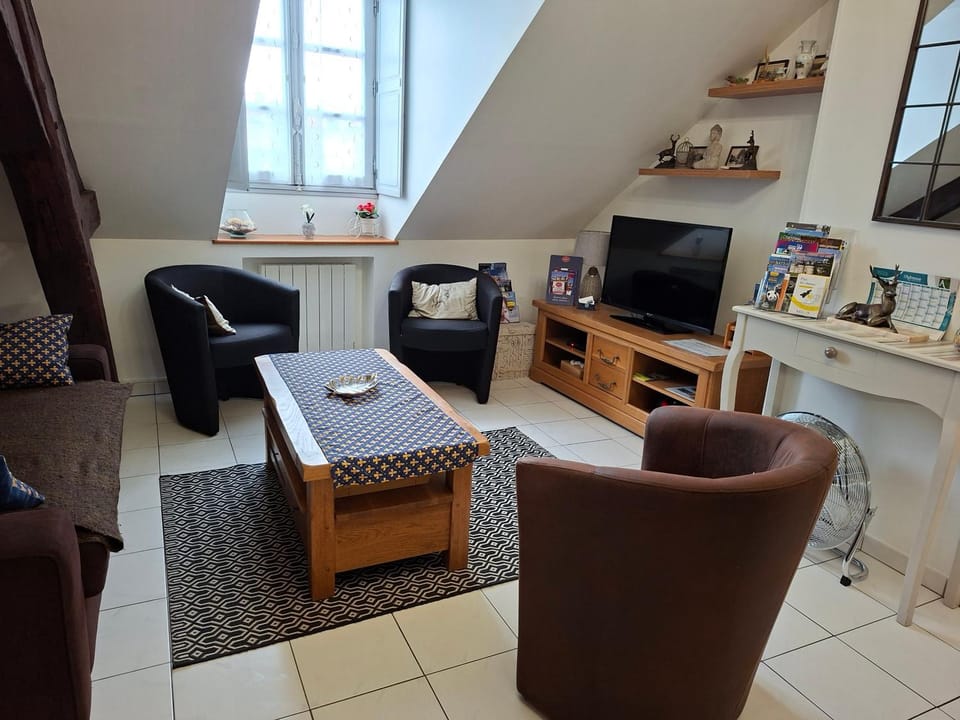 Blois et ses chateaux Apartment in Blois