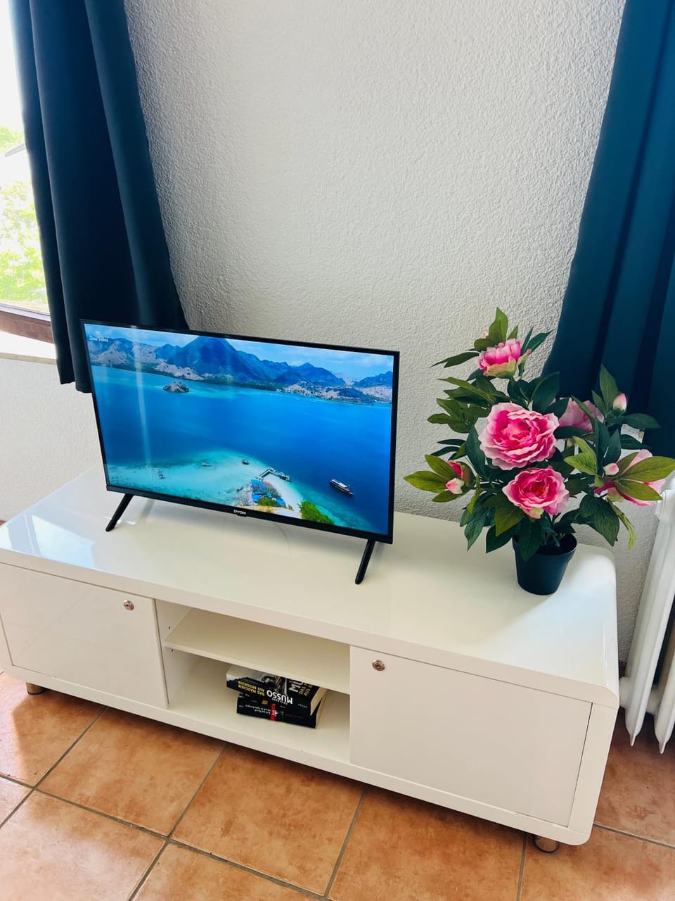 TV and multimedia