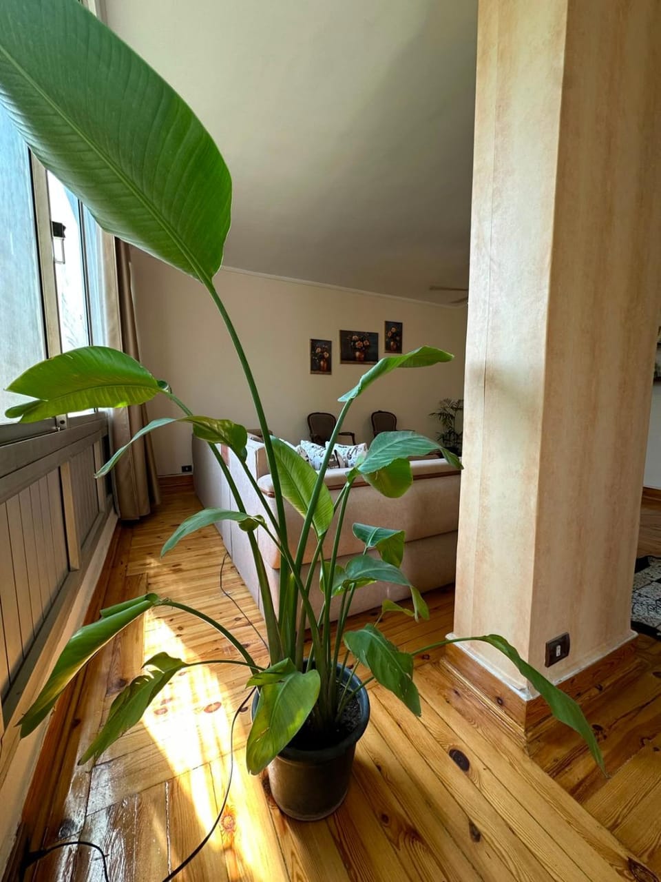 sunny and quiet home Apartment in Cairo Governorate