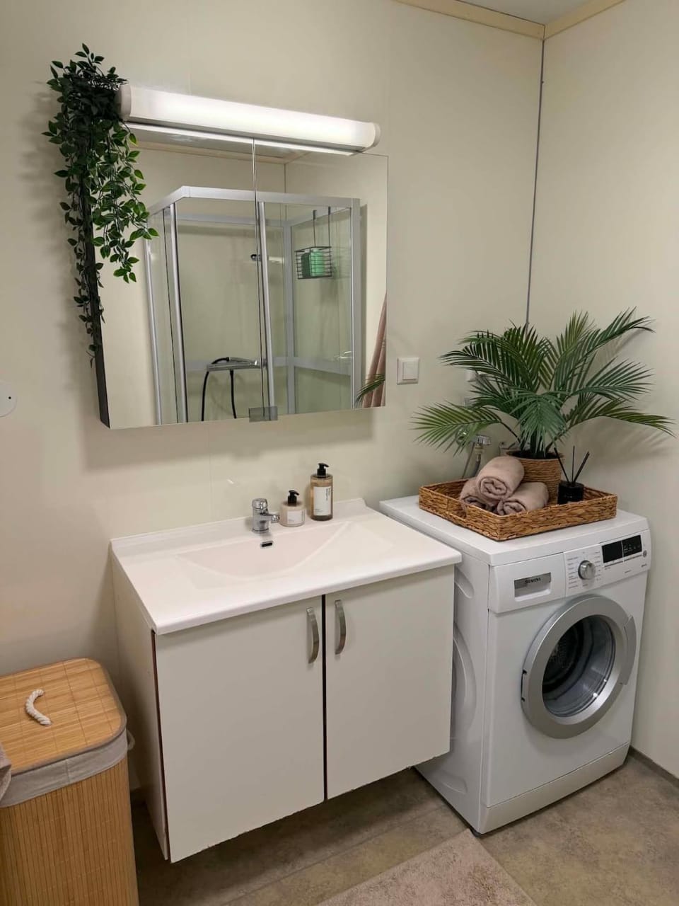 Bathroom, washing machine