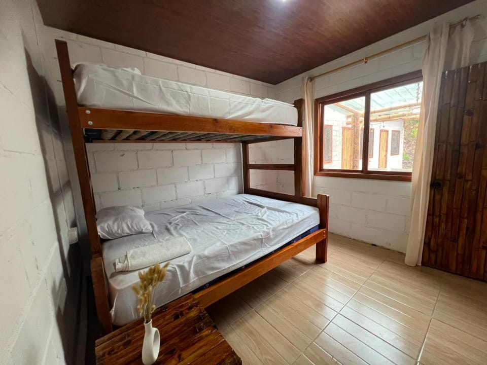 Bed, Photo of the whole room, Bedroom, bunk bed