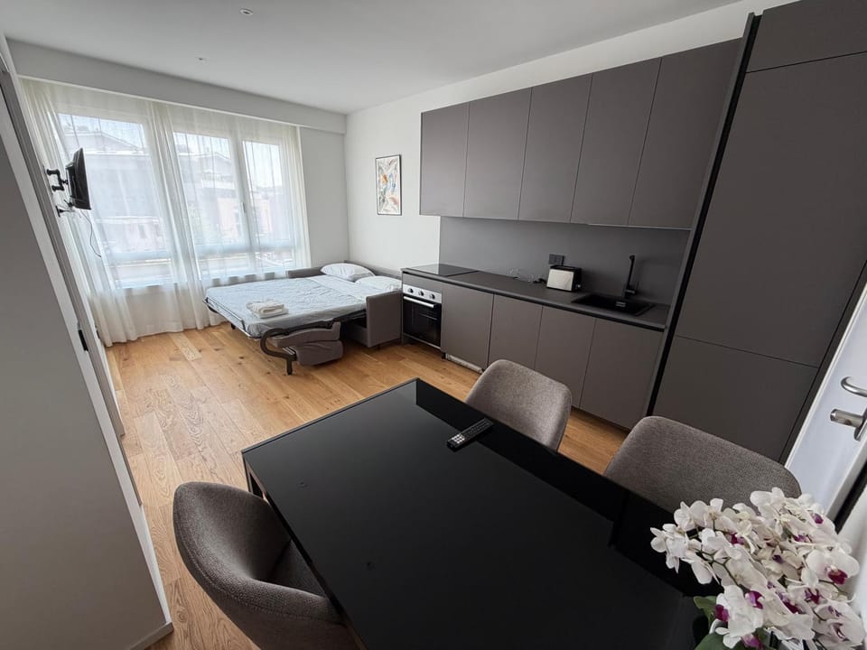 Bed, TV and multimedia, Kitchen or kitchenette, Living room, Photo of the whole room, Seating area, Bedroom, hair dresser
