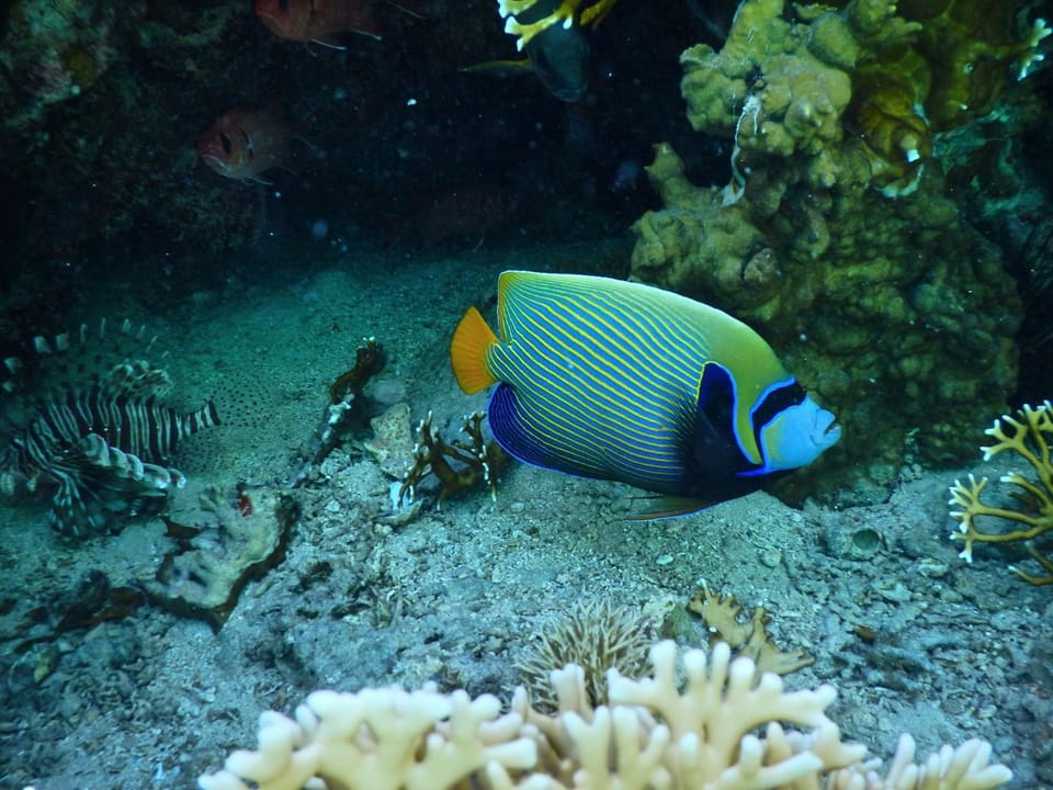 Snorkeling