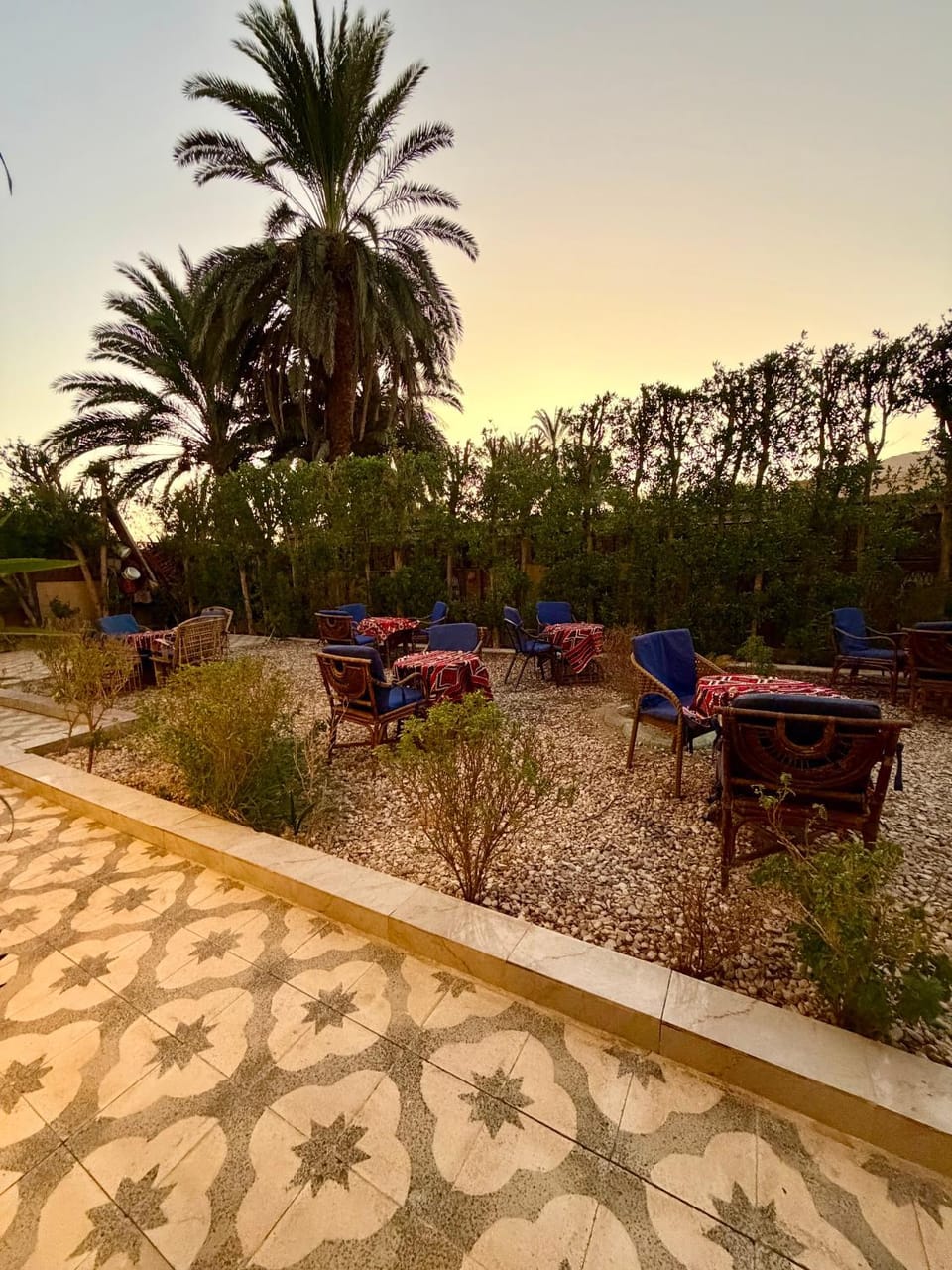 Day, Natural landscape, Garden, Garden view