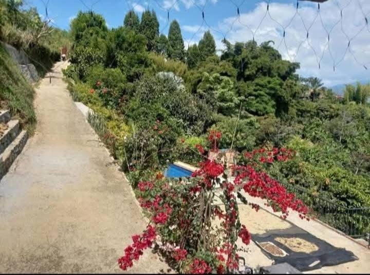 Finca Hotel Country House in Antioquia