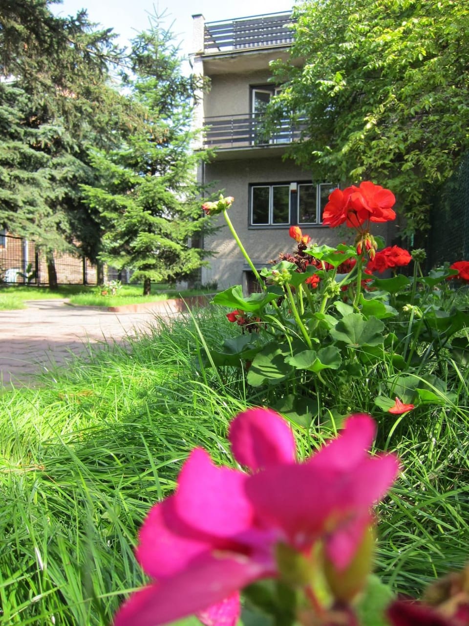 Guest room with large sunny terrace Vacation rental in Krakow