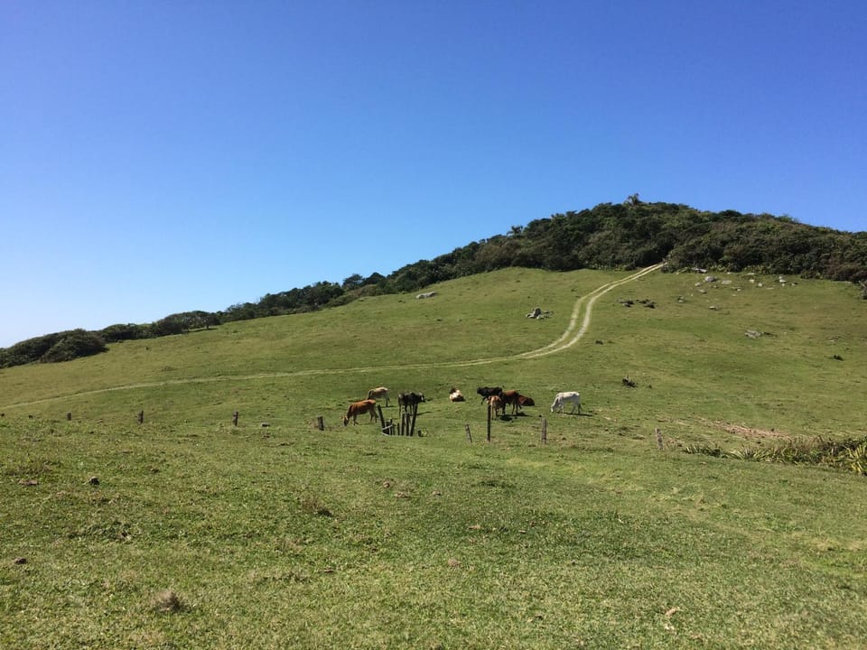 Hiking, Entertainment