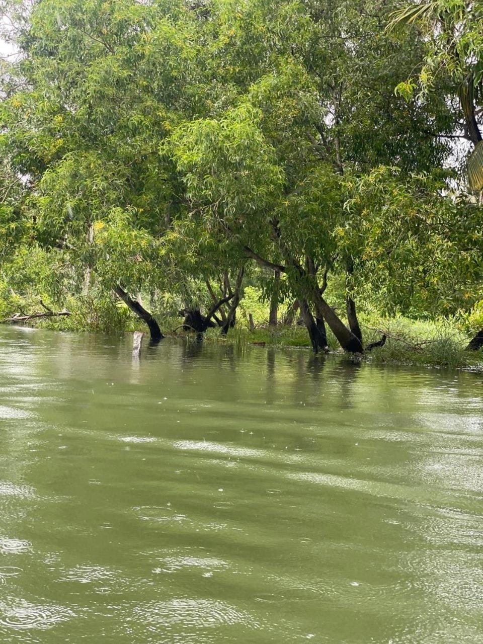 JEEVA HOMESTAY Poovar Nature lodge in Kerala