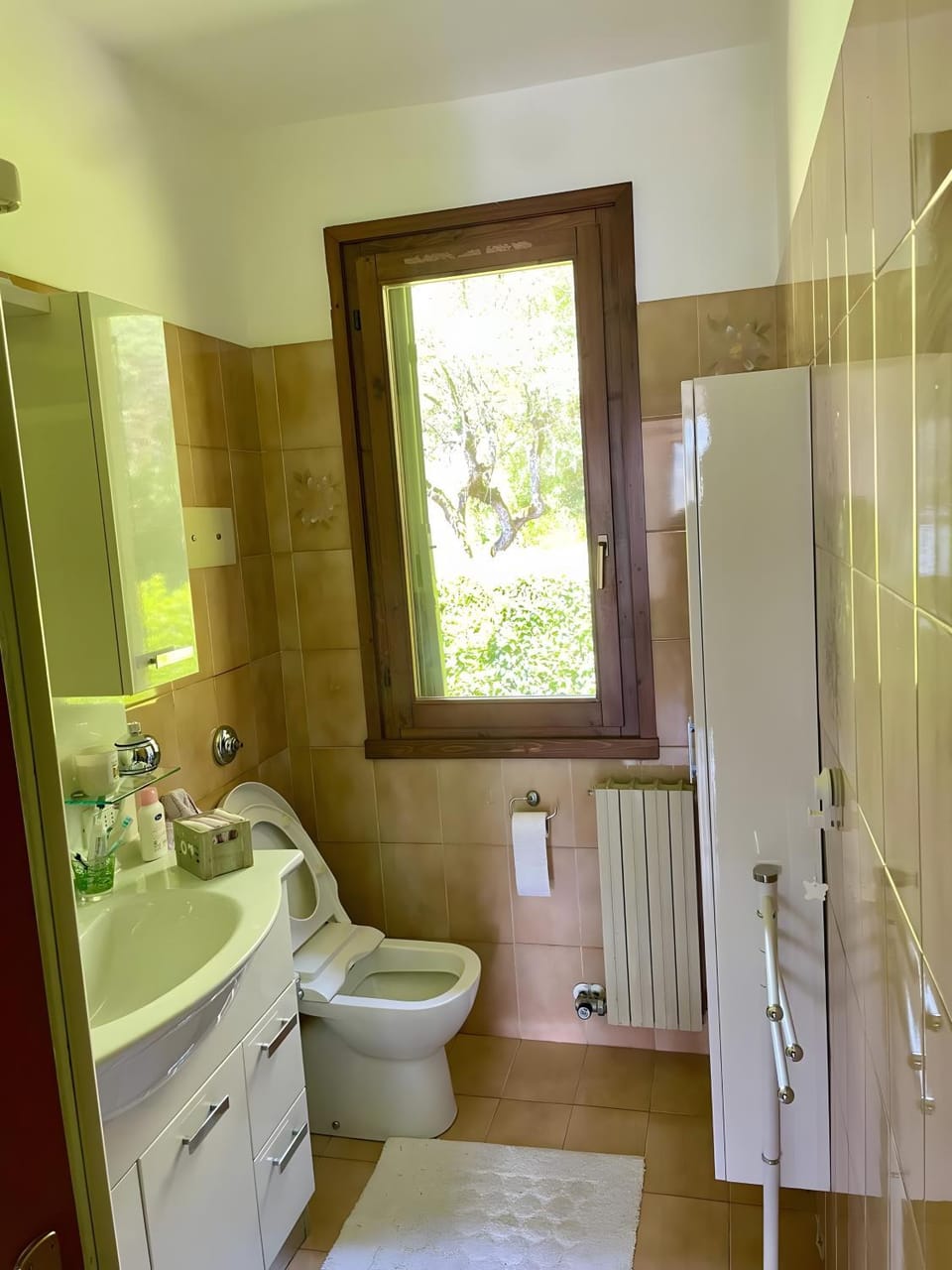 Bathroom, Living room