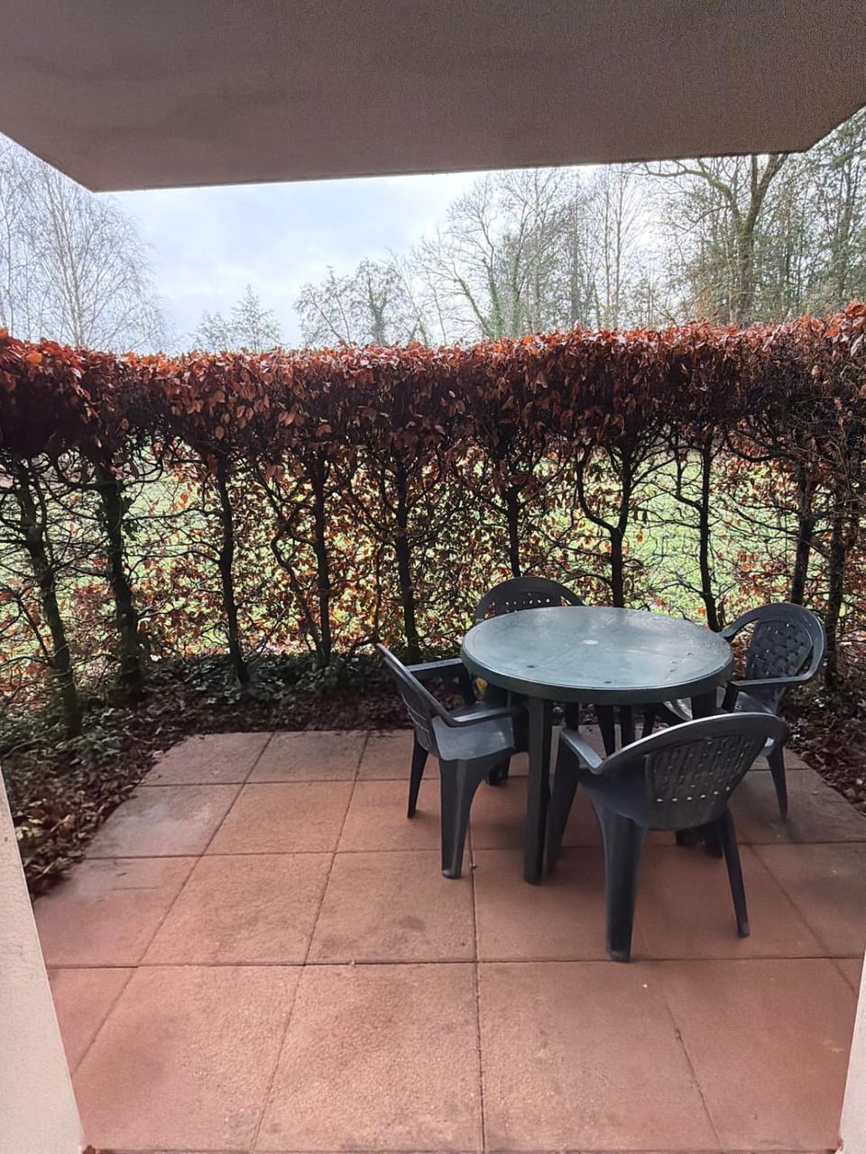 Garden, Balcony/Terrace, Dining area, Garden view