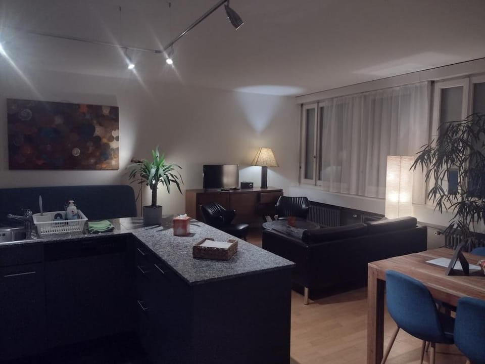 Airy and Central apartment in Zurich Apartment in Zurich City