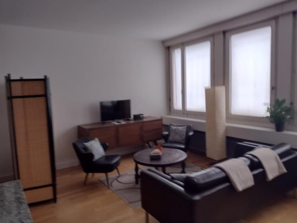 Airy and Central apartment in Zurich Apartment in Zurich City