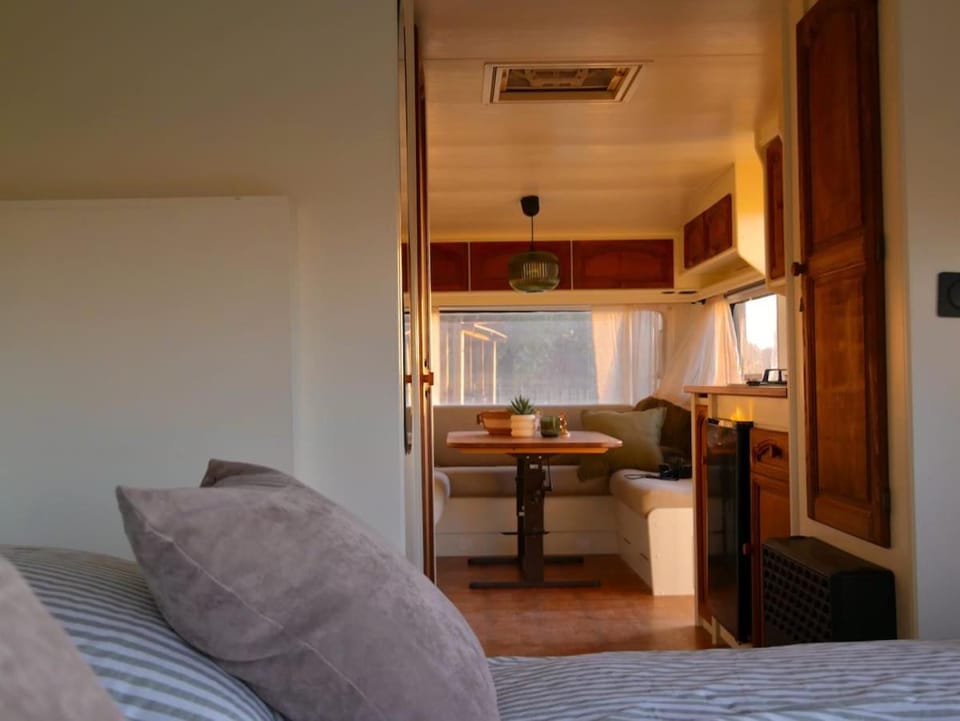 Bed, Kitchen or kitchenette, Living room, Photo of the whole room, Seating area, Bedroom