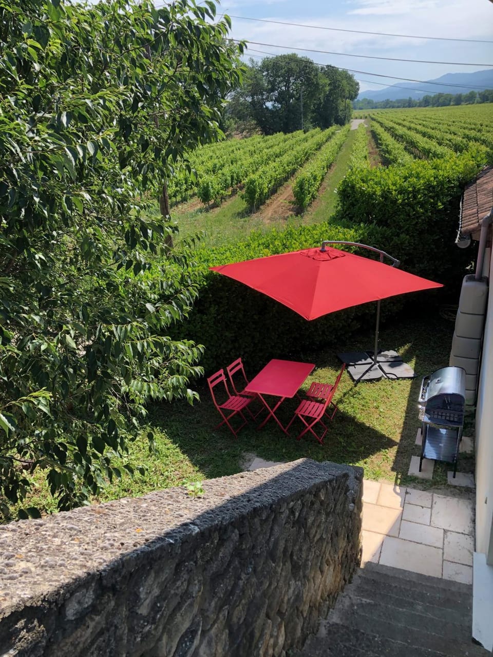 Natural landscape, Garden view