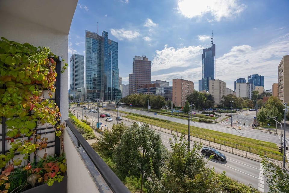 City view, Street view, Location