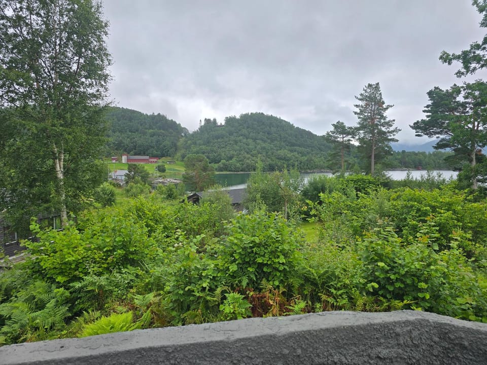 View (from property/room)