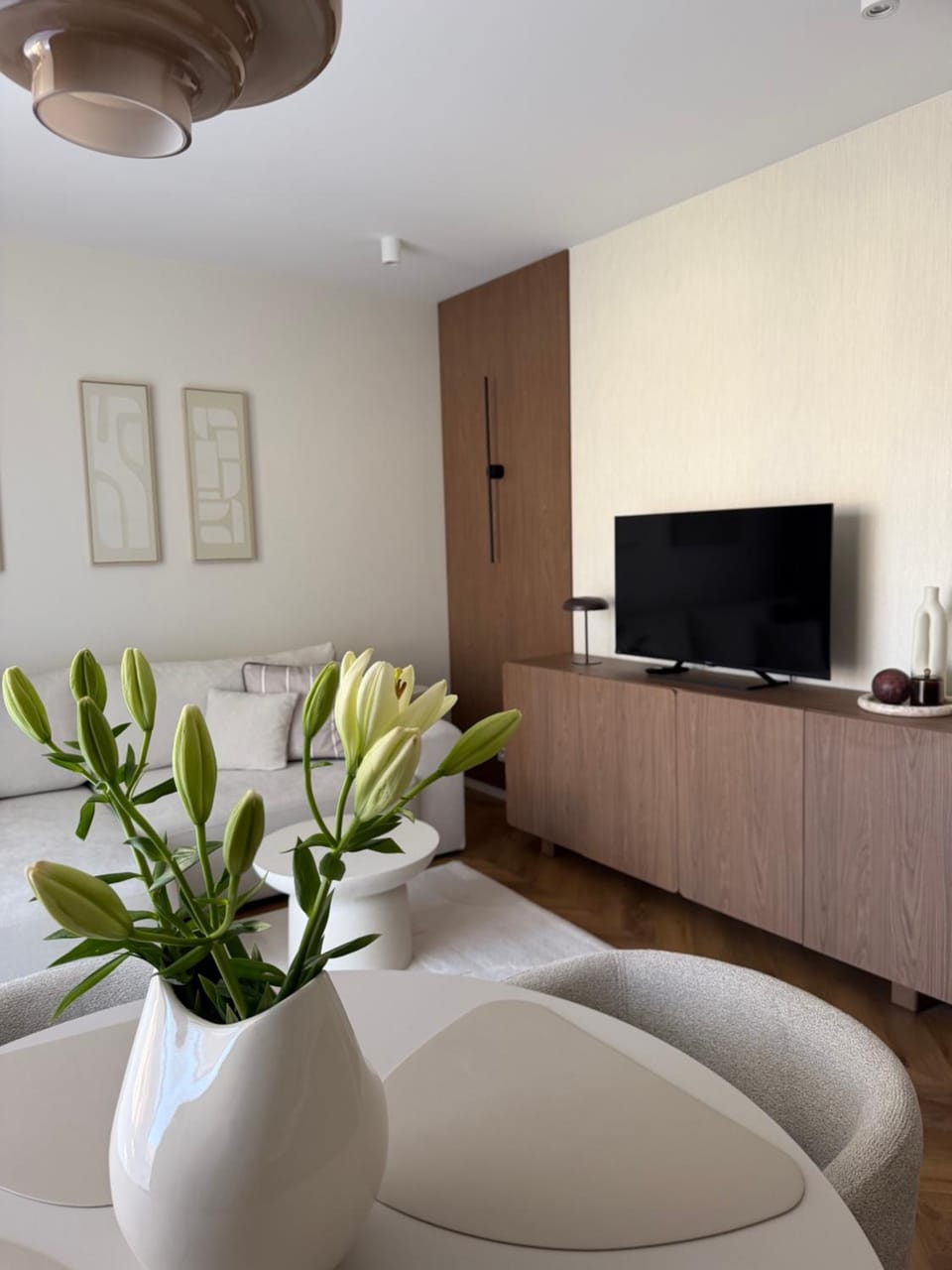 TV and multimedia