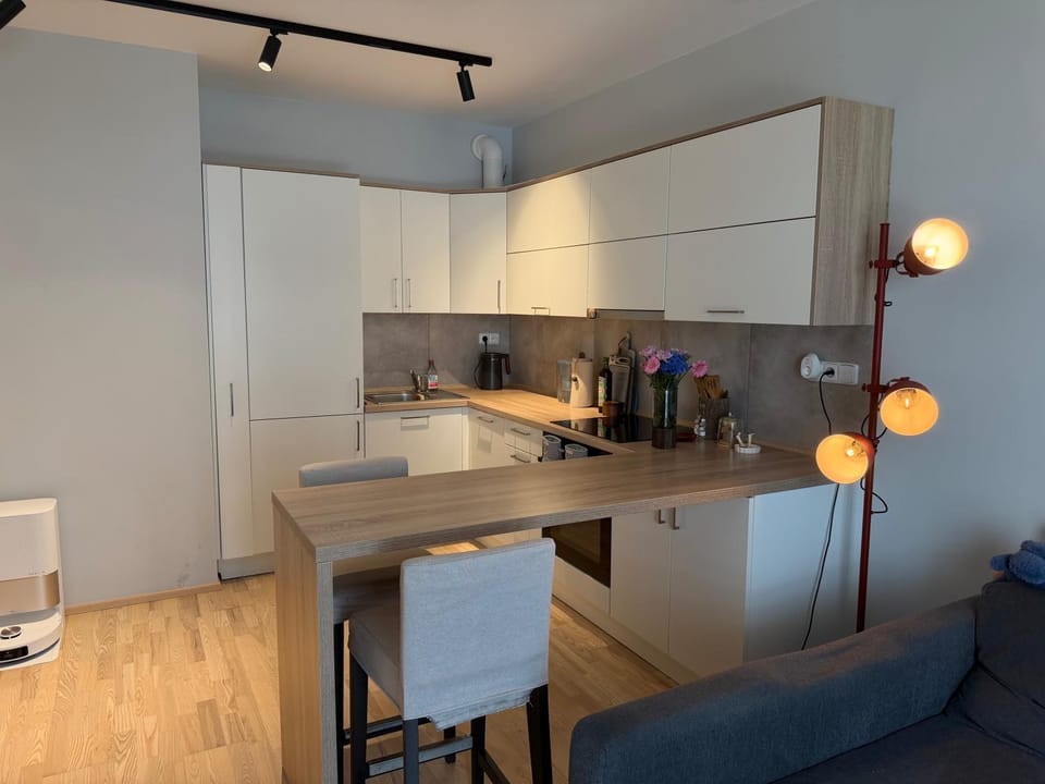 Kitchen or kitchenette, Seating area, Dining area