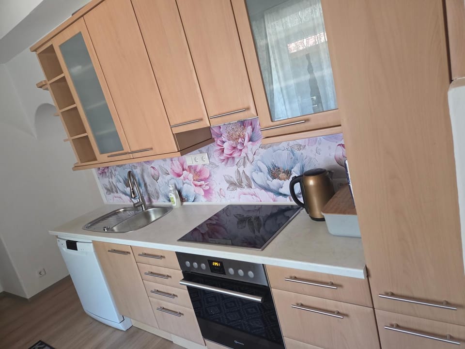 Ferienwohnung Sander Apartment in Styria