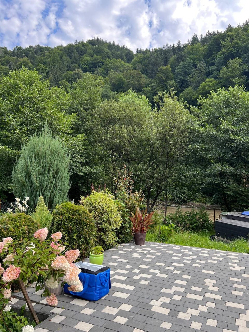 Day, Natural landscape, Garden, Garden view, Mountain view
