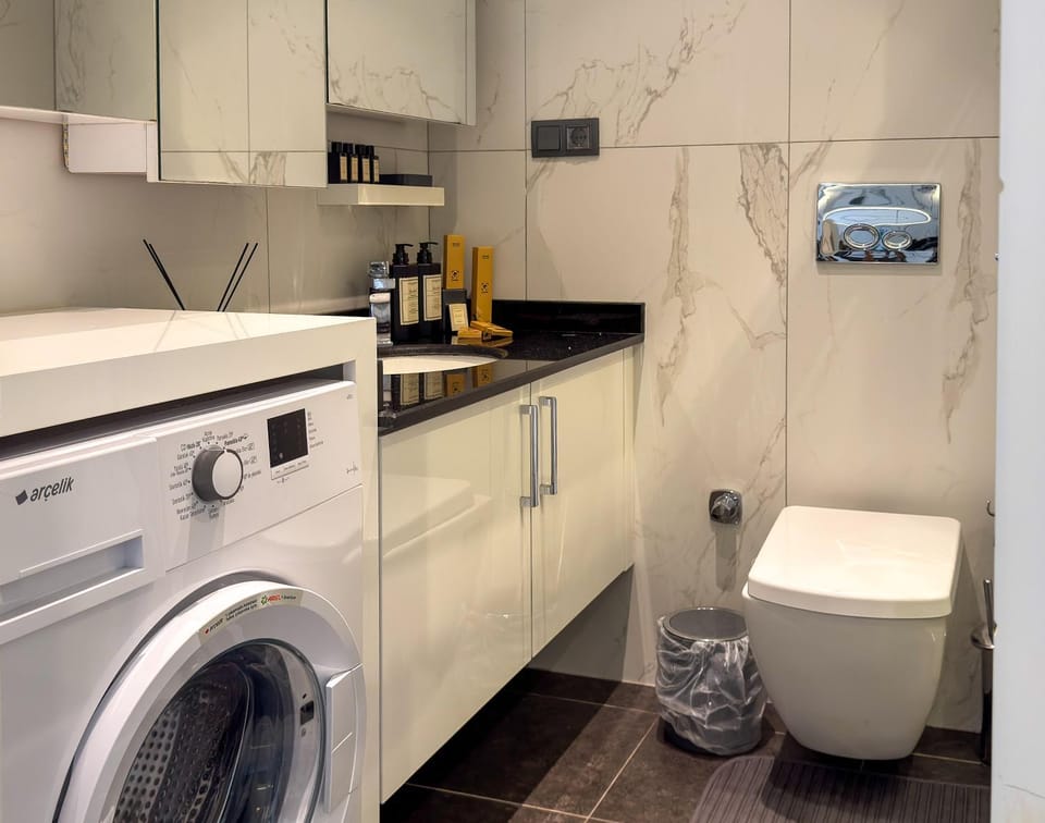 Toilet, Bathroom, washing machine