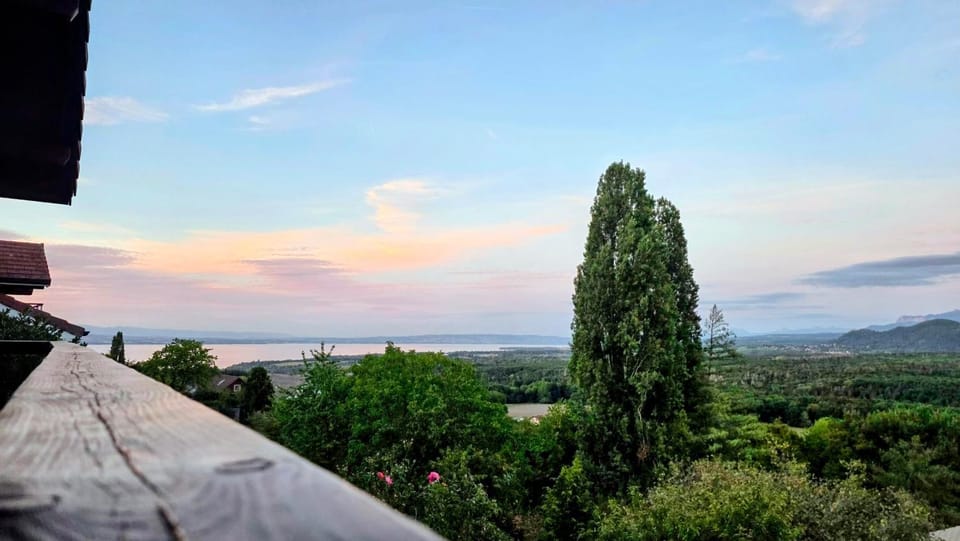 Lake view