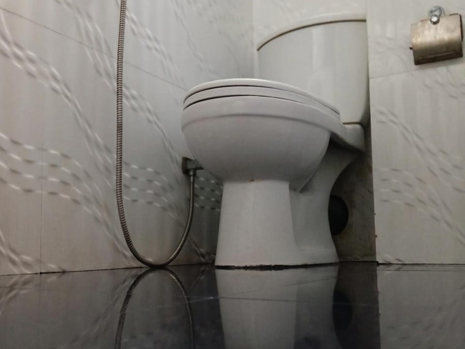 Toilet, Property building, Bathroom