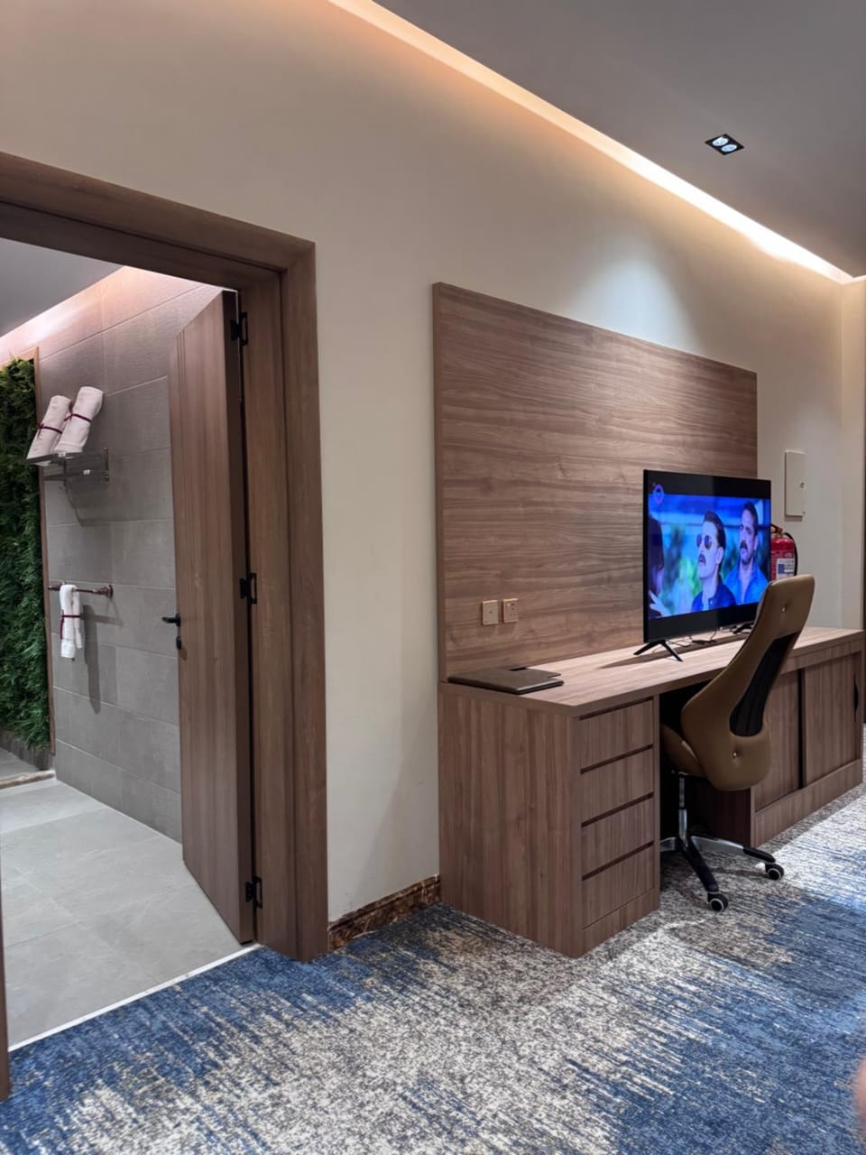 TV and multimedia
