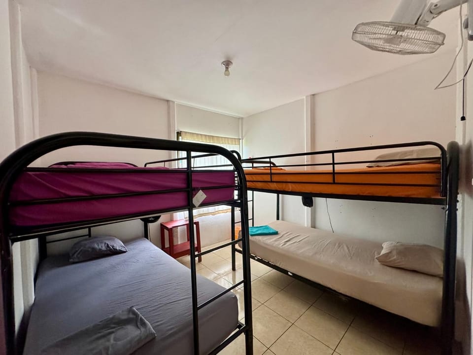 Photo of the whole room, Bedroom, bunk bed