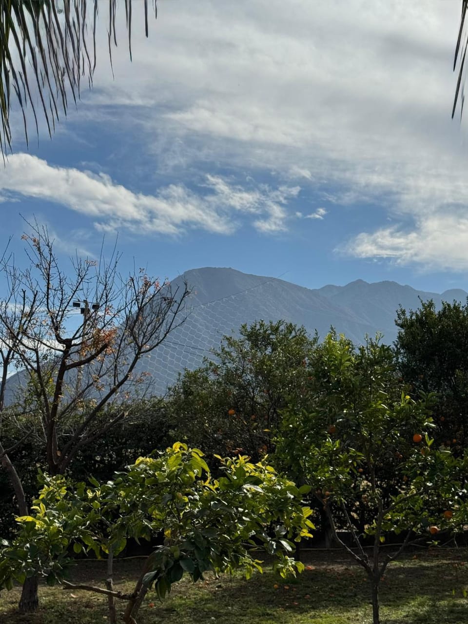 Mountain view