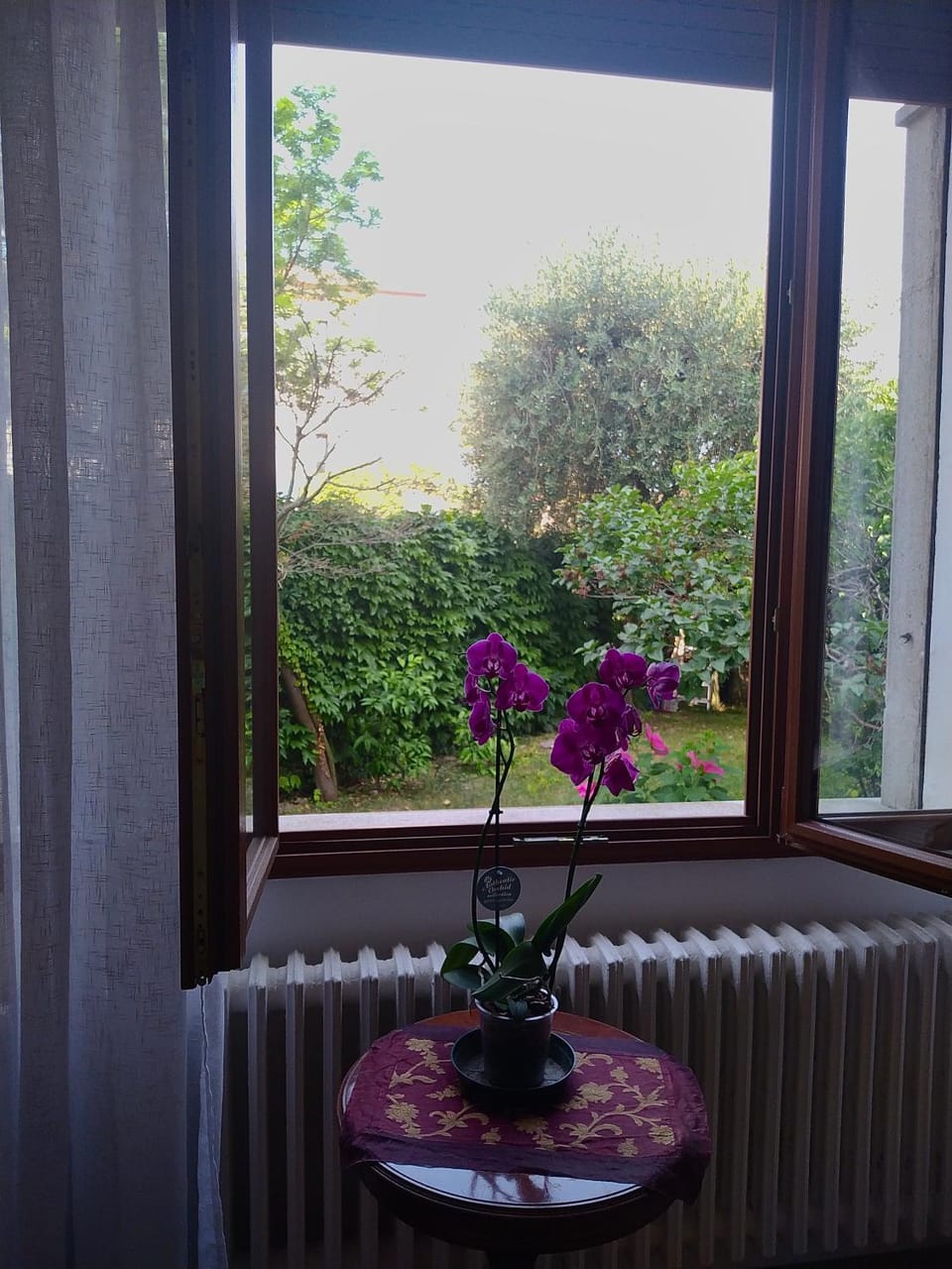 Garden view