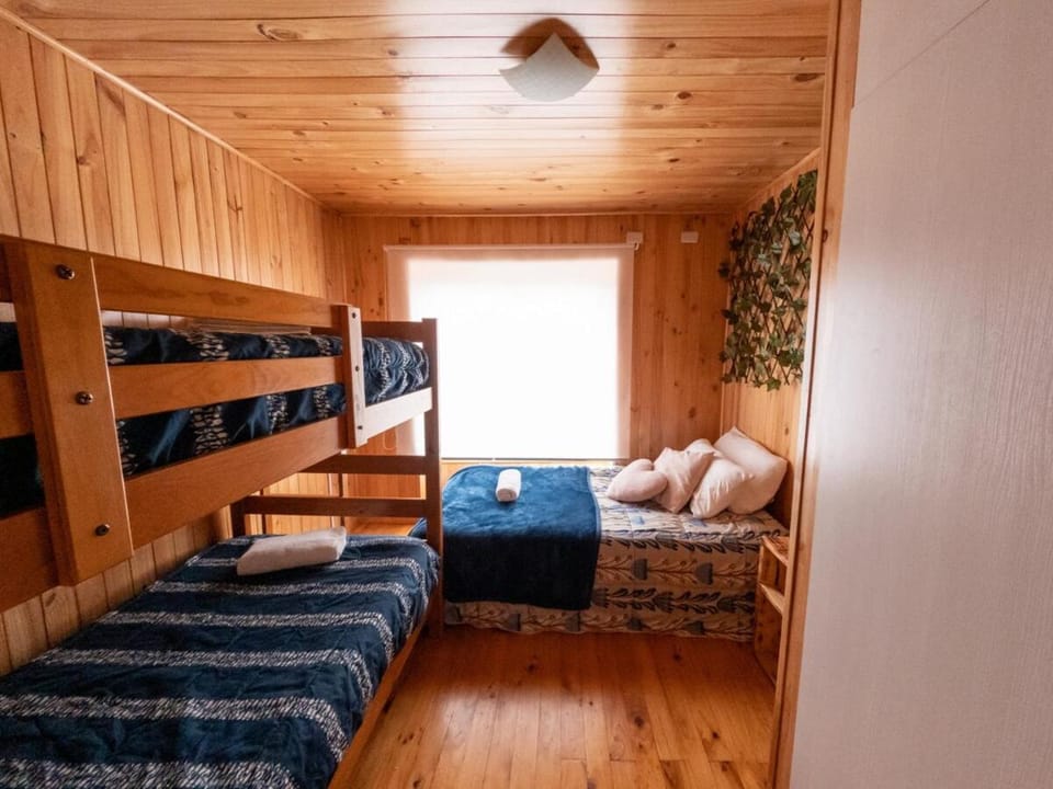 Bed, Photo of the whole room, Bedroom, bunk bed