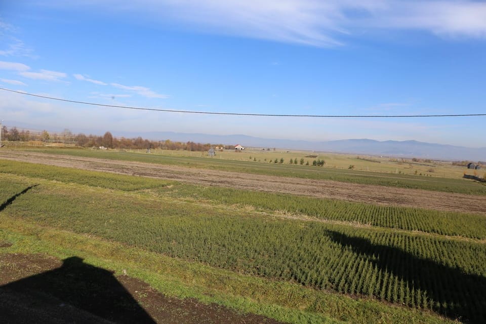 Garden view, Mountain view