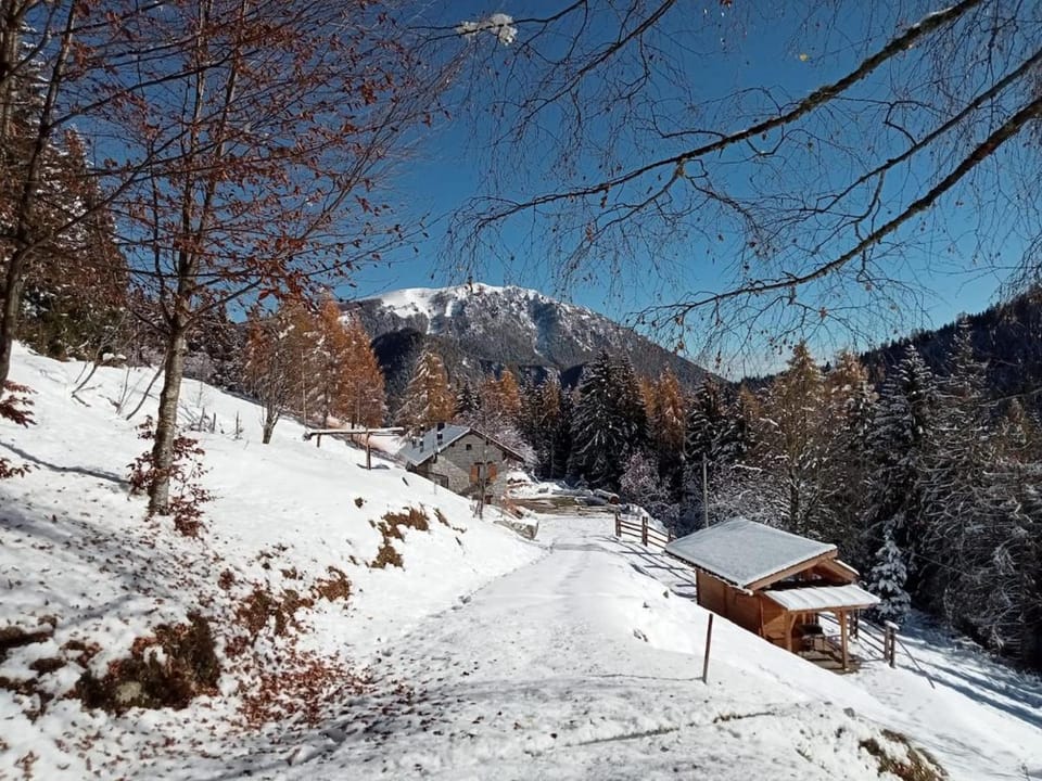 Mountain Escape Apartment Easy Access & Private Parking Apartment in Kastelruth