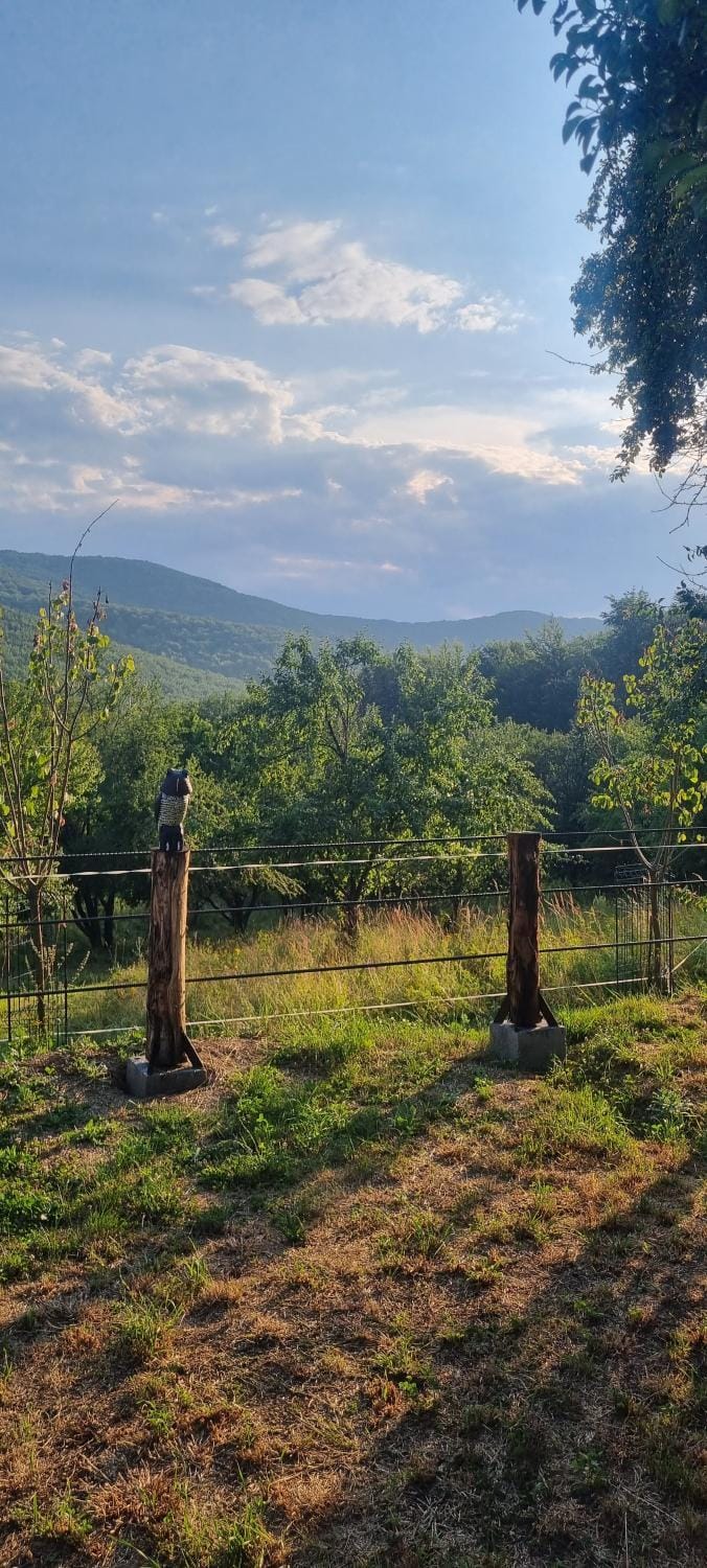 Vučji pogled Luxury tent in Serbia