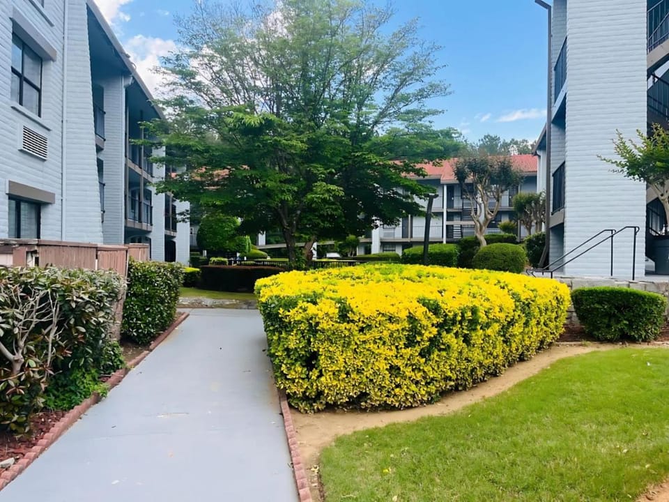 Garden view