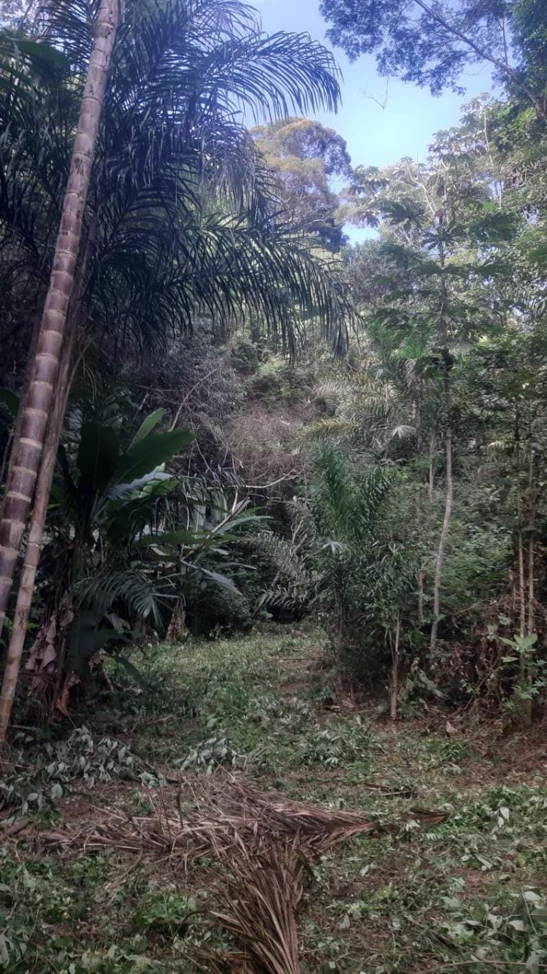 Eco Vila Uma Floresta House in State of Espírito Santo, Brazil