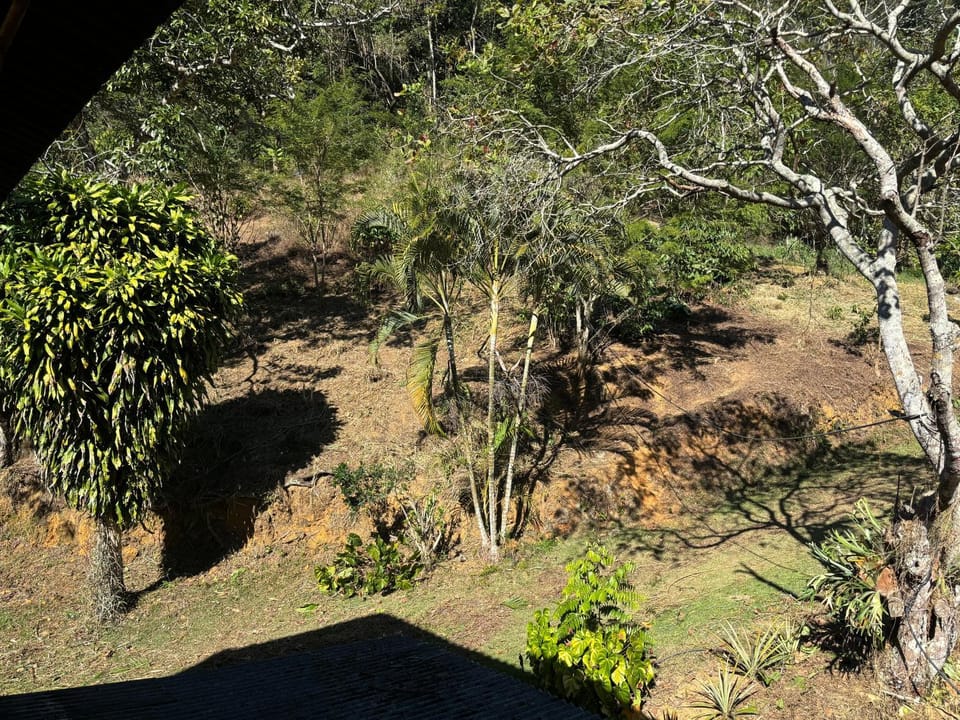 Eco Vila Uma Floresta House in State of Espírito Santo, Brazil