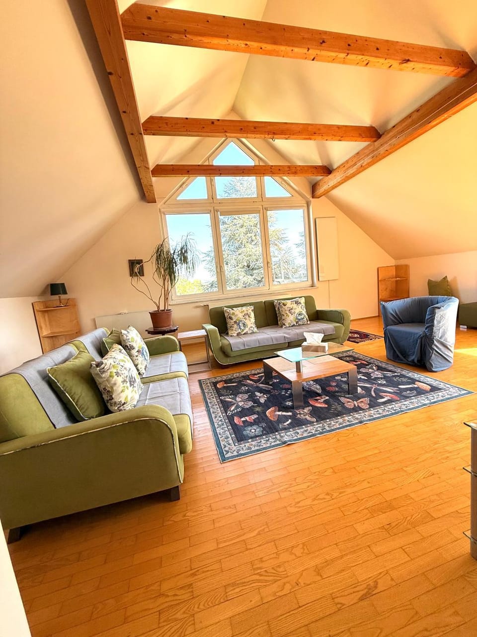 Big & Cosy City Apartment Apartment in Klagenfurt