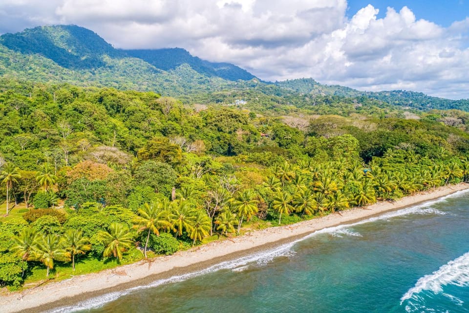 'Casita Ballenato' w/ Beach Access & Ocean View House in Bahía Ballena