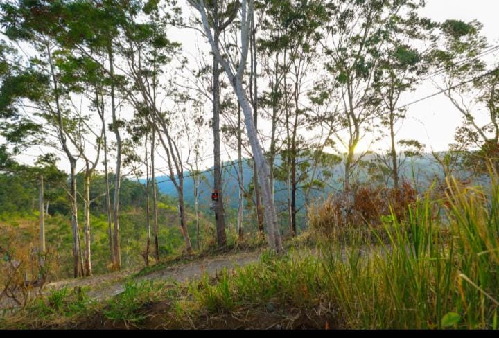 Natural landscape
