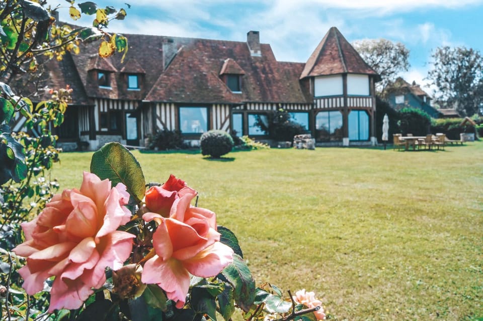Property building, Garden, Garden view