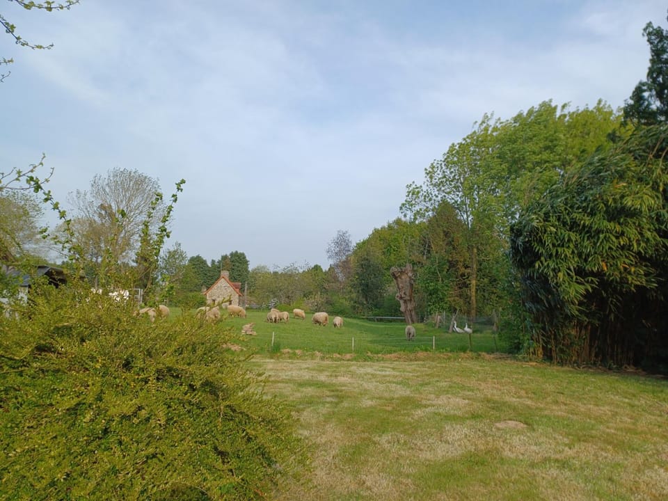 Maison en pierres House in Normandy