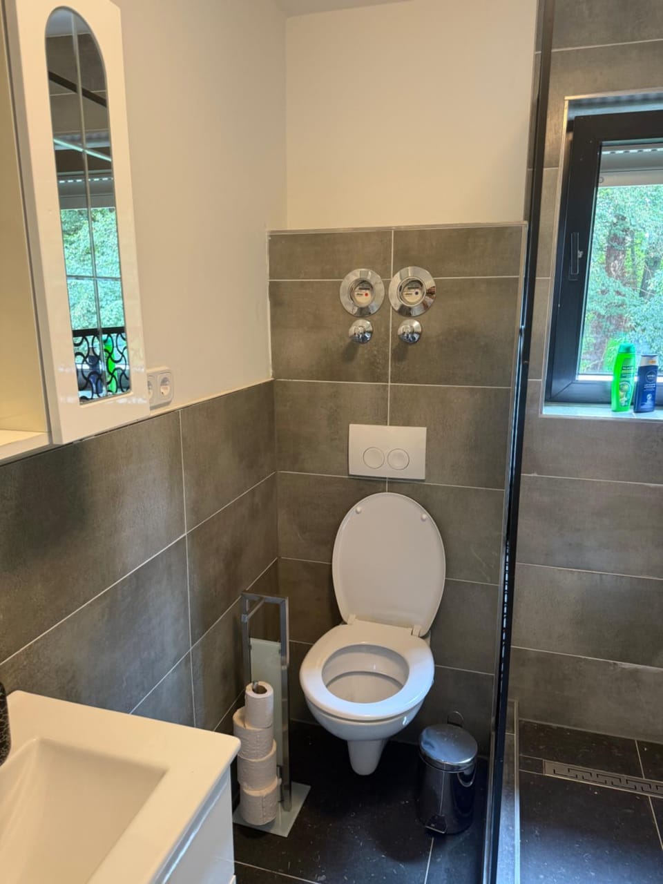 Shower, Toilet, Bathroom