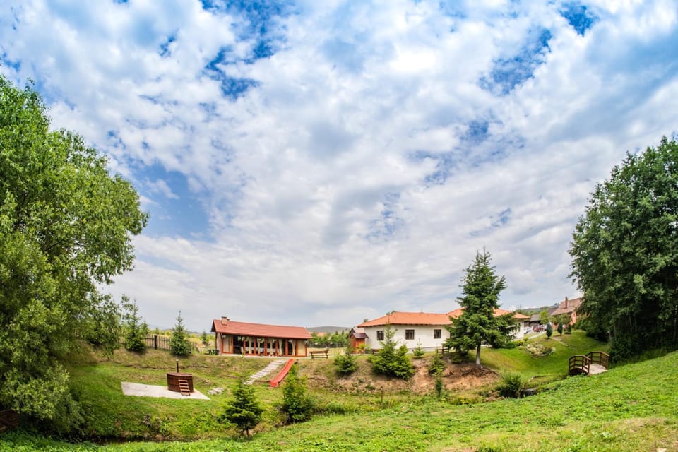 Éva Patakmenti Vendégház Bed and Breakfast in Romania