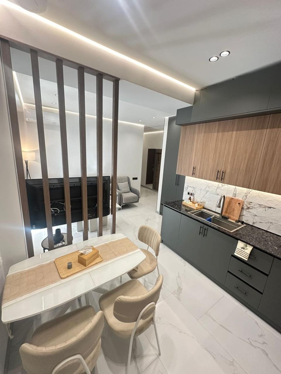 Kitchen or kitchenette, Living room, Photo of the whole room, Dining area