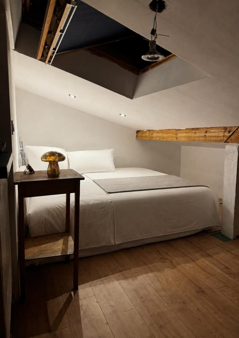 Loft sous les toits Apartment in Thonon-les-Bains