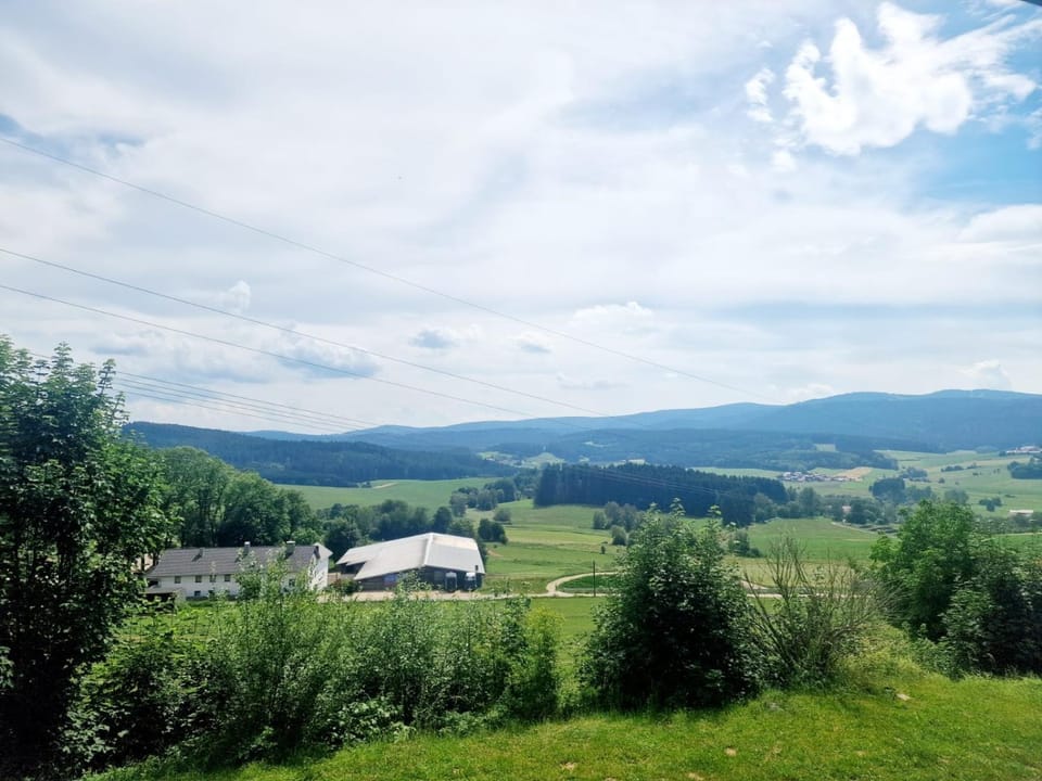 Mountain view